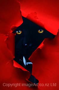 1 Gold Medal-Nightmare No1