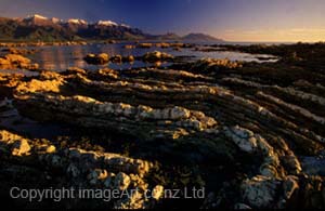 4 Honours Kaikoura Morn