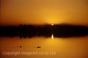 4 Honours Last Flight of the Day