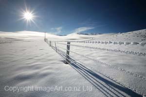 4_Honours And Then There Was Light