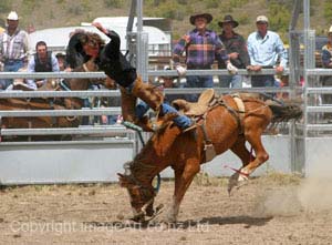 Acceptance In Flight Entertainment