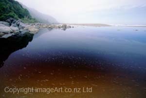 Acceptance Westcoast Lagoon