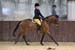 18th July 2020 Selwyn Equestrian Centre