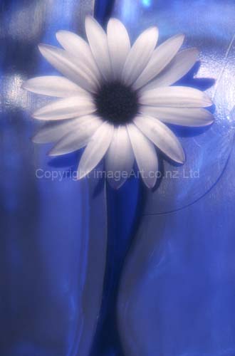 041_Softly Blue