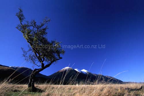 008_Against The Breeze