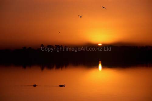 009_Last Flight of The Day