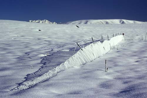 030_Feeling the strain