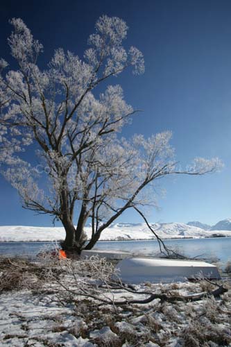 049_Lake Alexandrina Winter Morn