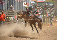 View the latest Rodeo Event images